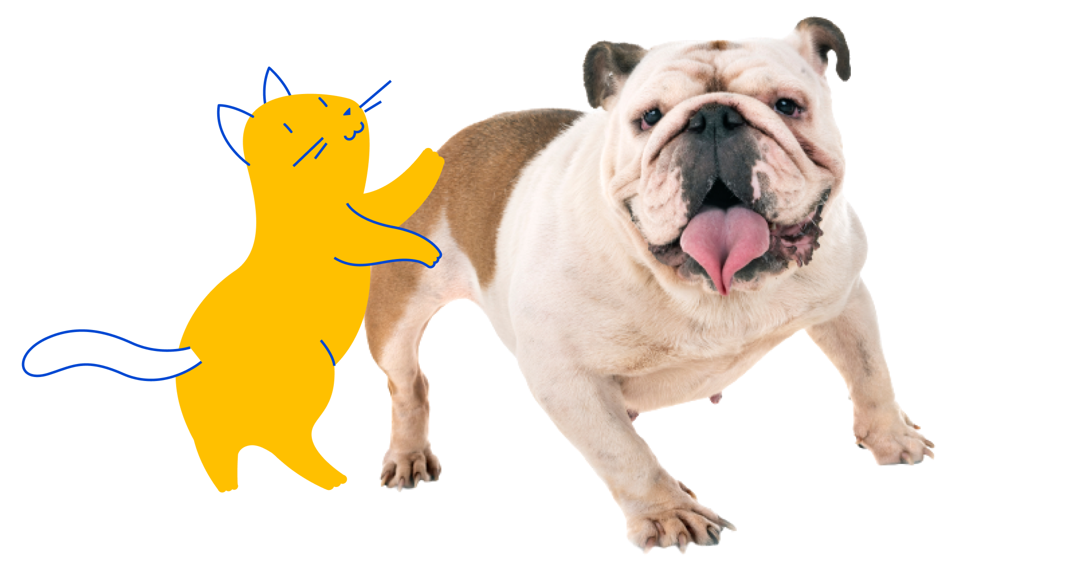 Don't Give Fleas & Ticks a Biting Chance